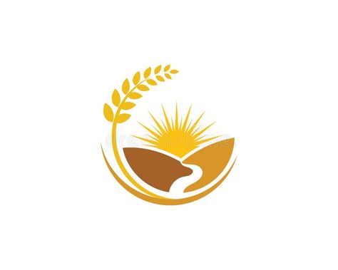 Agriculture Logo Design Ideas, Wheat Logo Design, Agriculture Illustration, Grain Illustration, Wheat Vector, Wheat Logo, Sunshine Logo, Organic Logo Design, Agriculture Logo