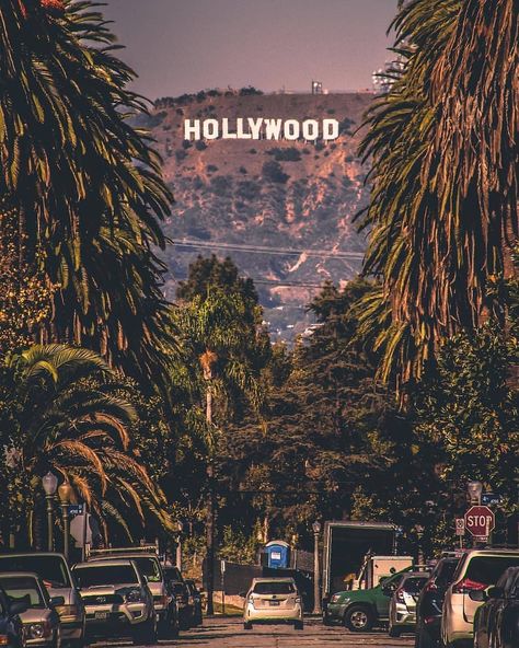 Hollywood sign from the Hancock Park neighborhood on (Windsor Blvd between 4th and 6th) Los Angeles CA Hollywood Wallpaper, Los Angeles Parks, Hollywood Blvd, Los Angeles Hollywood, Hollywood Sign, Photo B, Aesthetic Vintage, Windsor, Cali