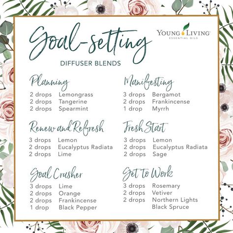 Young Living Essential Oil Diffuser, Yl Diffuser Blends, Eucalyptus Radiata, Living Oils Recipes, Essential Oils Diffuser Blends, Young Living Diffuser, Eo Blends, Essential Oil Diffuser Blends Recipes, Young Living Essential Oils Recipes