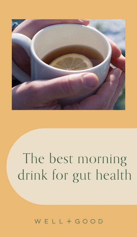 Morning Gut Drink, Morning Drink For Gut Health, Gut Healing Morning Drink, Morning Gut Health Drink, Gut Health Morning Routine, Drink For Gut Health, Best Morning Drink, Health Soup, Health Smoothie Recipes