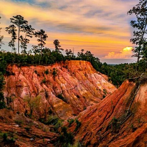 50 States Travel, Mississippi Travel, Only In Your State, Red Bluff, Quiet Beach, Going On A Trip, Travel Info, Florida Vacation, Landscape Photographers