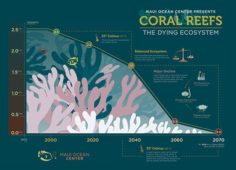 Coral Reefs Infographic on Behance Fish Infographic, Aquarium Freshwater, Fish Colorful, Ocean Unit, Coral Bleaching, Infographic Inspiration, Whale Sharks, Save Our Oceans, World Water Day