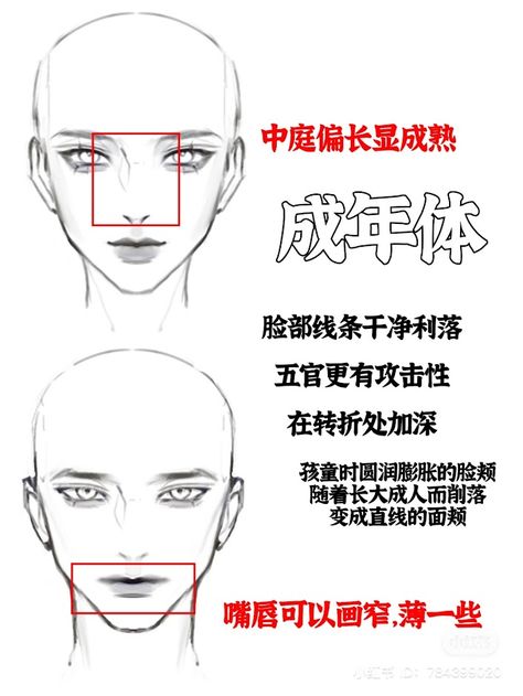 male and female face drawing tutorial Face Point Of View Drawing, Male And Female Head Reference, Face Shape Guide Drawing Anime, Male And Female Pose Reference Drawing, Male And Female Face Drawing, Female Face Shapes Drawing, How To Draw Manhwa Face, Male Face Reference Drawing Front View, How To Draw Female Face Anime