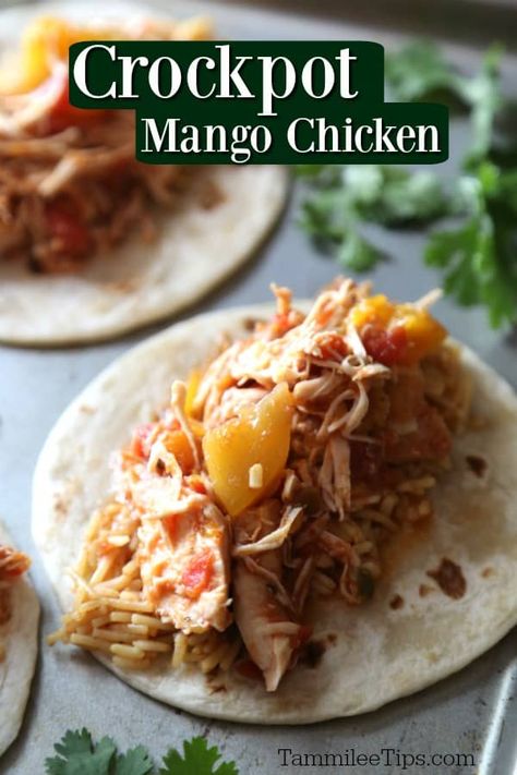 Mango Salsa Chicken Crockpot, Mango Tacos Chicken, Salsa Chicken Tacos Crockpot, Salsa Taco Chicken Crock Pot, Chicken Tacos With Mango Salsa, Miracle Mango Salsa Chicken, Salsa Chicken Recipe, Mango Salsa Chicken, Chicken Slow Cooker