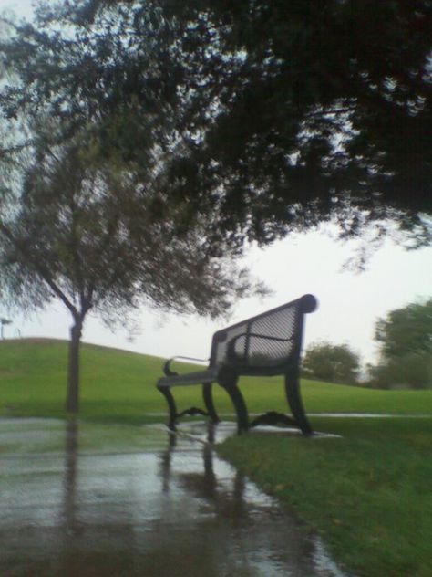 A photo I took at Steele park in downtown Phoenix. A rare rainy day, and it was beautiful. Music Aesthetics, Downtown Phoenix, Regents Park, Stage Set, Outdoor Bench, Park Bench, Rainy Day, Old Fashioned, Phoenix