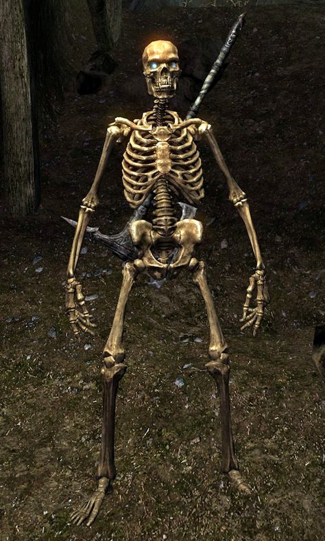 Skeleton (Skyrim) - Elder Scrolls - Wikia Skyrim Skeleton, Skyrim Concept Art, Wholesome Tumblr, Scrolls Game, Spooky Memes, Mr Bones, The Elder Scrolls, Wholesome Memes, Elder Scrolls