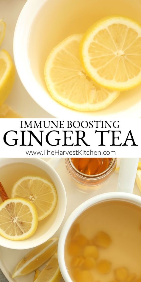 Honey Ginger Tea Recipe, Immune Boosting Drink Recipe, Fresh Ginger Tea Recipes, Ginger Root Tea Recipe, Recipes With Fresh Ginger Root, Immune Boosting Tea Recipe, Uses For Ginger Root, Ginger Root Recipes, Ginger Honey Tea