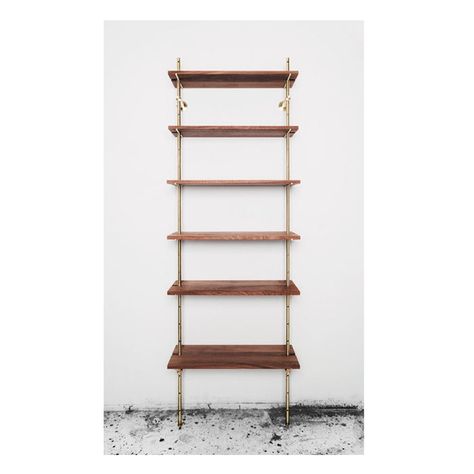 Rail Shelving, Partial Wall, Wall Mounted Shelving Unit, Brass Rail, Wall Mounted Shelving, Shallow Shelves, Sapele Wood, Pocket Door Hardware, My New Apartment