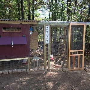 Chicken Coop Shed, Clean Chicken Coop, Chicken Coupe, Chicken Coop Diy, Clean Chicken, Chicken Coup, Urban Chickens, Coop Design, Best Chicken Coop