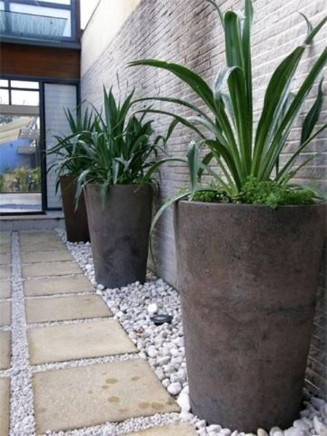 oversized concrete planters with the same plants placed on contrastign white pebbles is a bold idea Patio Flowers, Modern Front Yard, Front Yard Design, White Pebbles, Yard Design, Concrete Planters, Plant Pot, Potted Plants, Front Yard