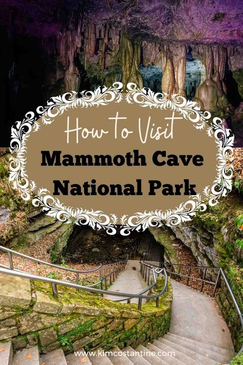 Are you planning a visit to Mammoth Cave National Park? This is a great guide for your Mammoth Cave Kentucky visit. With lots of info for Mammoth Cave Tours, this guide is very helpful to plan your trip and make the most of your time. So when is the best time to visit Mammoth Cave Natioanal Park? Read the blog to find out all the details. Mammoth Cave Kentucky, Kentucky Vacation, Southern Road Trips, Mammoth Cave National Park, Kentucky Travel, Mammoth Cave, Indiana Dunes, Cave Tours, Nashville Trip