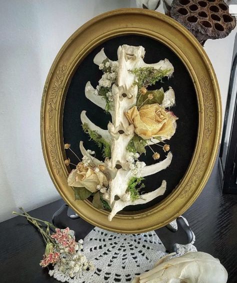 Gothic Animal Skull Decor, Goth Antler Decor, Diy Oddity Decor, Bone Oddity Art, Vulture Culture Decor, Animal Bones Decor, Skull Taxidermy Art, Crafts With Bones, Diy Oddities Decor