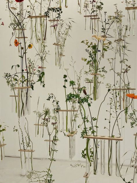 chelsea flower show 2019 - suspended wild flowers in test tubes. Wild Flower Installation, Flowers In Test Tubes, Test Tube Flower Wall, Flower Installation Art, Test Tube Flowers, Flower Exhibition, Easy Flowers, Plant Installation, Flower Room