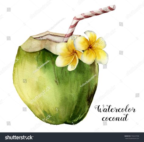 Watercolor coconut with plumeria flowers. Hand painted exotic drink with striped tube and floral decor isolated on white background. Tropical cocktail with a straw. Food illustration for design. images illustration Coconut With Straw, Straw Umbrella, Cocktail Watercolor, Coconut Cocktail, Tropical Artwork, Green Coconut, Coconut Drinks, Beach Drinks, Plumeria Flowers