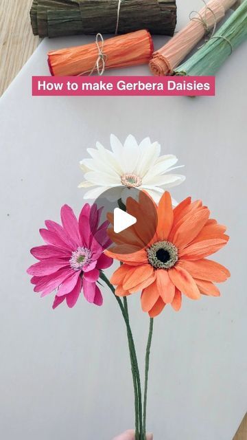 Cynthia Meiring | Paper Flowers on Instagram: "Let's make a paper Gerbera Daisy! You will need the following materials: - German Doublette paper for the petals - 90 grams crepe paper for the center - floral wire - glue gun - normal glue  Have fun! And you can of course experiment with all color combinations. The Gerbera Daisy mostly comes in very nice and bright colors. 🌸🌼  #paperflowers #papierenbloemen #paperflorist #cartefinicrepepaper #gerberadaisy #diyinspiration #diy #handmadeflowers #hobbyideas #doityourself #artificialflower #artprocess" Daisy Crepe Paper Flowers, Crepes Paper Flowers, Paper Gerbera Daisy, Diy Daisy Flower, Daisy Paper Flowers, Gerbera Flower, Paper Daisy, Flower Shower, Crepe Paper Flowers