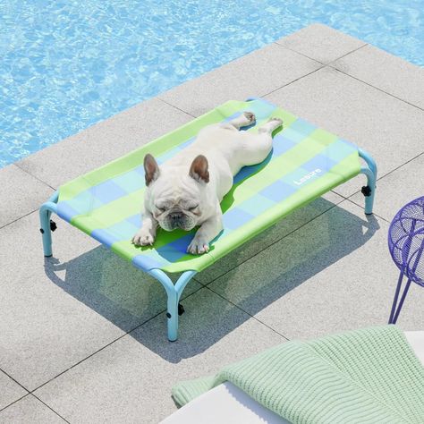 Best Elevated Cooling Pet Beds on Amazon | POPSUGAR Family Every Dog Breed, Elevated Dog Bed, Outdoor Dog Bed, Elevated Bed, Pound Puppies, Cool Dog Beds, Summer Dog, Dog Parents, Canopies