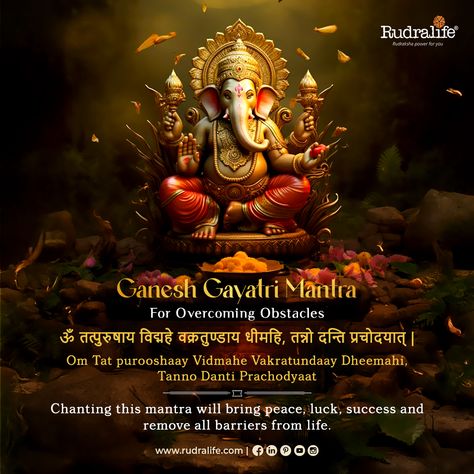 Chant this Ganesh Gayatri Mantra daily✨

Invoke the blessings of Lord Ganesha to remove all obstacles and welcome peace, luck, and success into your life. 🌺💫

Let his Blessings guide you forward.🪬

#Rudralife #GaneshGayatriMantra #RemoveObstacles #DivineBlessings #LordGanesha Sri Ganesh, Gayatri Mantra, Overcoming Obstacles, Lord Ganesha, Ganesha, Mantra, Bring It On, Let It Be