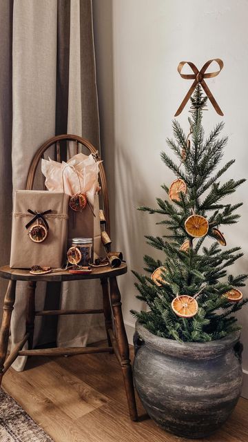 Diy Dried Orange Slices, Christmas Content, Jul Diy, Dried Oranges, Dried Orange Slices, Natural Christmas, Orange Garland, Gift Toppers, 2023 Christmas