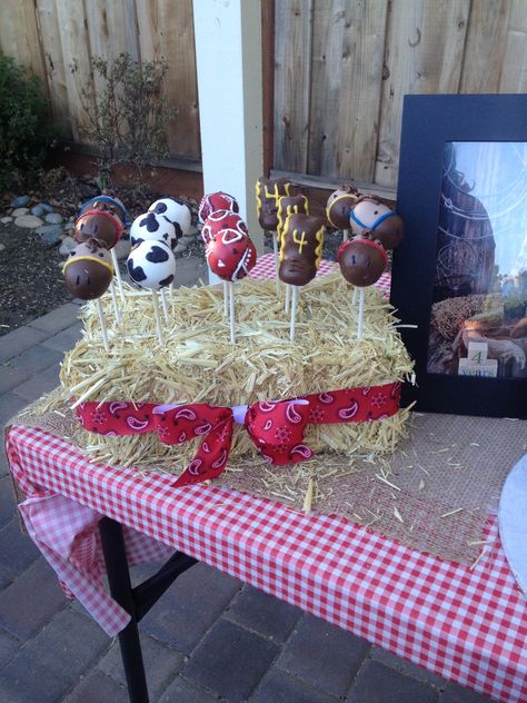 Cowboy Cake Pops Rodeo Sweets Table, My First Rodeo Cake Table, My First Rodeo Candy Table, Cowboy Treat Table, My First Rodeo Cake Pops, Cowboy Theme Cake Pops, Rodeo Theme Cake Pops, Rodeo Treat Table, First Rodeo Cake Pops