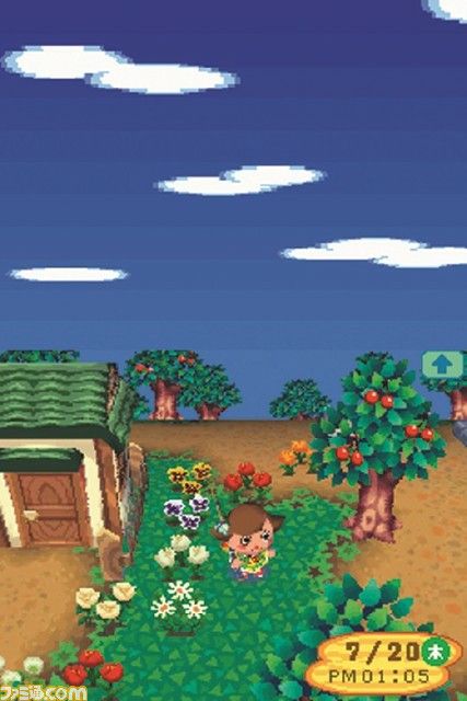 Wild World Animal Crossing, Old Animal Crossing, Animal Crossing Wallpaper, Ipad Screen, Tom Nook, Animal Crossing Fan Art, Ac New Leaf, Animal Crossing Wild World, City Folk