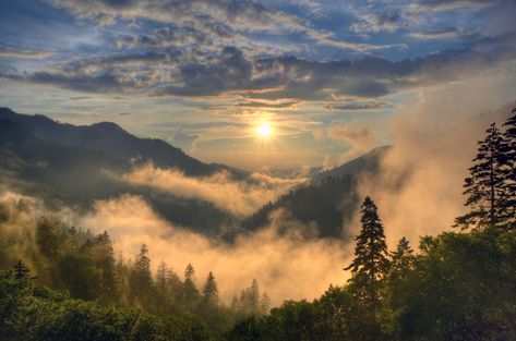 Best Photo Opportunities in the Great Smoky Mountains National Park Smoky Mountains Photography, National Parks Usa, Great Smoky Mountains National Park, Blue Ridge Parkway, East Tennessee, Smoky Mountain National Park, Appalachian Trail, Nature Trail, Great Smoky Mountains