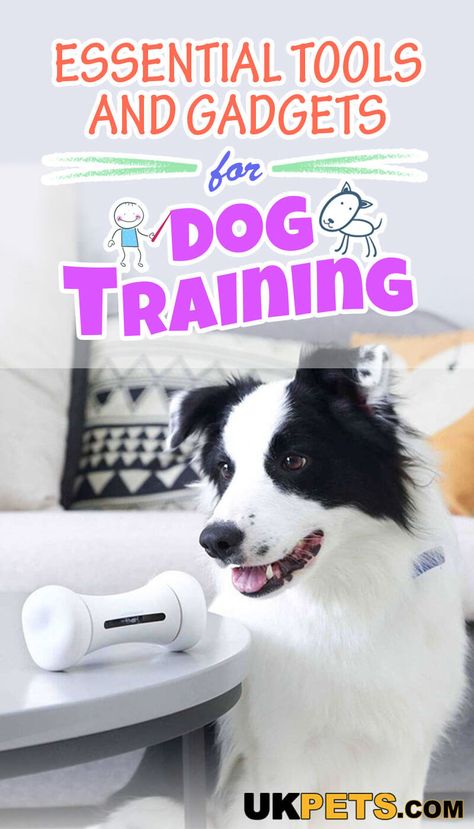 The use of certain tools and gadgets for dog training is equally important as choosing the best dog breed for competitive training. Take this learning journey together with your pooch for stronger ties and a more trustworthy relationship. #dog training #tools #gadgets #smart thinking Dog Training Equipment, Dog Training Books, Modern Tools, Learning Journey, Aggressive Dog, Best Dog Breeds, Border Collies, Training Tools, Dog Obedience