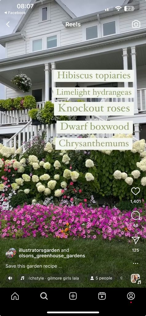 Limelight Hydrangea Landscaping, Outdoor Plants Landscaping, Hydrangea Tree, Hydrangea Landscaping, Knockout Roses, Limelight Hydrangea, Farm Living, Front Landscaping, Greenhouse Gardening