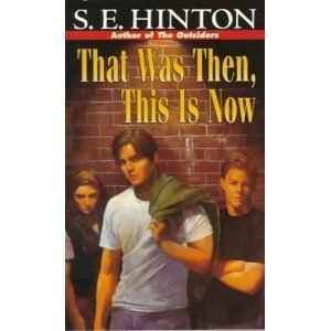 After reading The Outsiders in 7th grade, my students are always excited to read this! Making Connections Activities, Se Hinton, S E Hinton, Dictionary Entry, Male Perspective, Pulp Fiction Art, Ya Novels, Deep Thinking, Sentence Writing