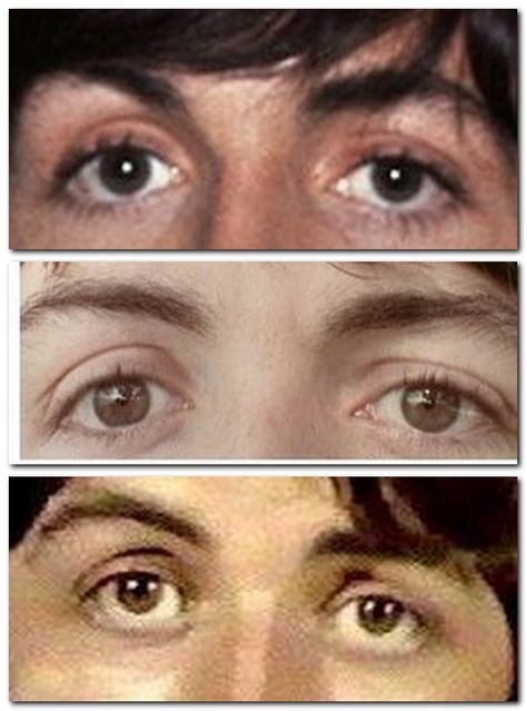 Three pictures of Paul McCartney's eyes -- the top is from a pic taken in 1965, the middle from the Fool on the Hill video, and the bottom from the Hey Jude video. Truthfully, can anyone say that these are all look like the same person? Hill Video, Fool On The Hill, Paul Is Dead, Facial Recognition Software, Paul Mccartney And Wings, Beatles Albums, Beatles Band, Beatles Music, Dark Portrait