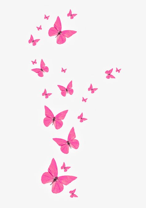 Floating Material, Butterfly Wallpaper Iphone, Butterfly Clip Art, 카드 디자인, Butterfly Pictures, Pink Wallpaper Iphone, Cute Patterns Wallpaper, Iphone Background Wallpaper, Butterfly Wallpaper