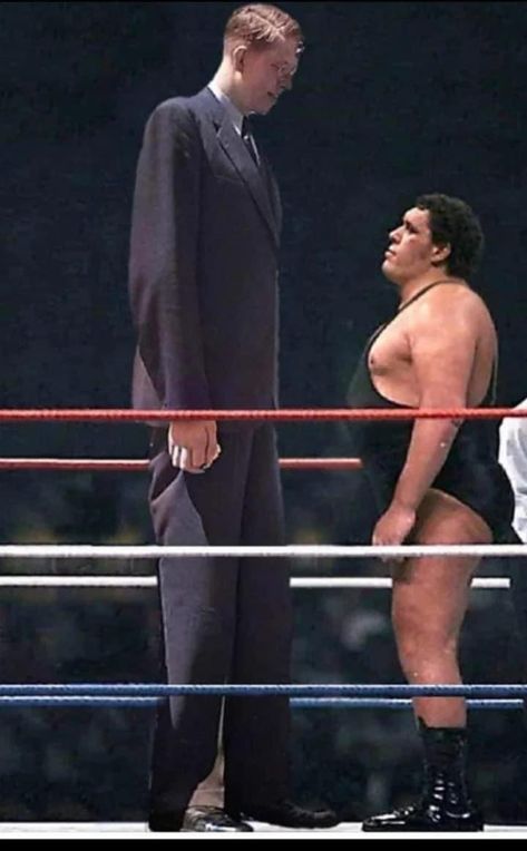 Still here André The Giant, Tallest Man, Rain Fashion, Robert P, Andre The Giant, Tall People, Wrestling Superstars, Incredible Hulk, Architecture Fashion