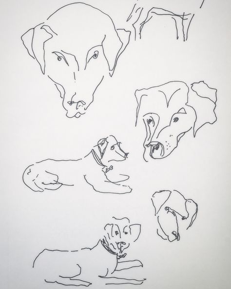 Sketch Style Tattoo, Ears Art, Doodle Face, Sketch Style Tattoos, Tattoo Dog, Dog Labrador, Pen Drawings, Style Tattoo, Sketch Style