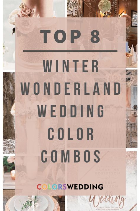 Colors Wedding | Top 8 Winter Wonderland Wedding Color Combos Wonderland Decorations, Winter Wonderland Decorations, Colour Themes, Wedding Color Combos, Colors Wedding, Winter Wonderland Wedding, Wedding Theme Colors, Wedding Top, Winter Weddings