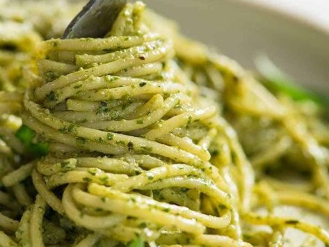 Pesto Pasta - with plenty of pesto sauce! Bite Size Pies, Homemade Pesto Recipe, Creamy Carrot Soup, Ziti Pasta, Beef Ragu, Pasta Pesto, Pasta Al Pesto, Chile Poblano, Cocktail Party Food