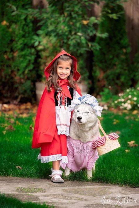 Little Red Riding Hood Toddler Costume, Lil Red Riding Hood And Wolf Costume, Little Red Riding Hood Family Costume, Little Red Riding Hood And Wolf Costume, Best Toddler Costumes, Red Riding Hood Photography, Red Riding Hood Grandma, Red Riding Hood And Wolf, Ideas Disfraz