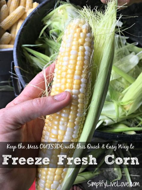 Quick & Easy Way to Freeze Corn Blanching Corn, Preserve Carrots, Freezing Corn On The Cob, How To Freeze Carrots, Freezing Fresh Corn, Homestead Hacks, Freezing Corn, Shucking Corn, Kitchen Activities