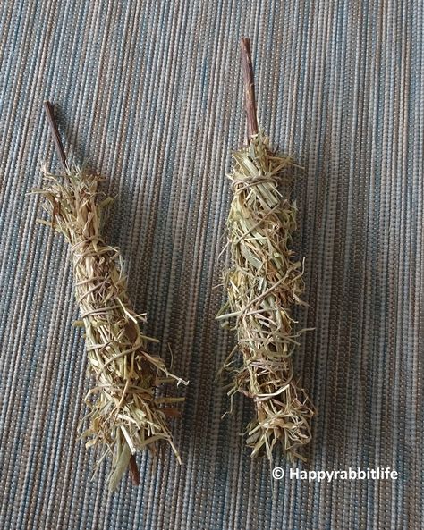 Quick and easy Diy hay sticks with treats inside Diy Rabbit Enrichment, Rabbit Treats Homemade, Rodent Enrichment, Bunny Enrichment, Homemade Rabbit Treats, Homemade Rabbit Toys, Rabbit Things, Rabbit Enrichment, Diy Bunny Cage