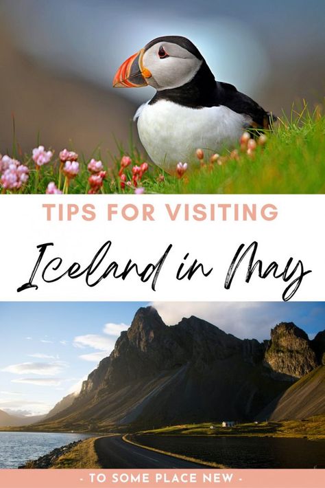 Iceland In May, Iceland Travel Summer, Iceland Travel Itinerary, Iceland Travel Photography, Iceland Vacation, Iceland Trip, Iceland Travel Tips, Iceland Itinerary, Thingvellir National Park