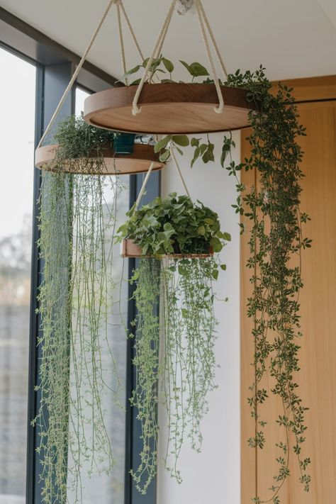 Turn your living space into a serene retreat with a suspended plant setup. Rope-hung trays filled with cascading vines and compact pots offer a natural touch, ideal for enhancing windows or empty corners. #HangingGreenOasis #IndoorPlantDisplay #VerticalGarden #NaturalHomeDecor #PlantStylingIdeas #RopeHangerDecor #HangingPlants #CompactGreenery #WindowPlantSetup #EcoChicDesign Displaying Hanging Plants, Hanging Plants Entryway, Dangling Plants Indoor, Hanging Plant Ceiling Grid, Hanging Plants Sunroom, Hanging Corner Plants, Hanging Plants From High Ceilings, Fake Plant Ceiling Decor, Plants From The Ceiling