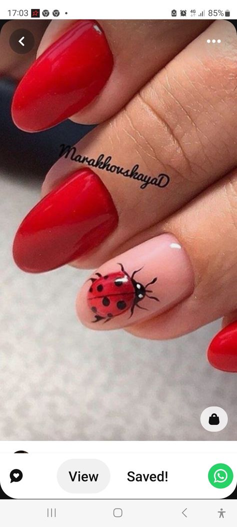 Nails With Ladybug, Ladybug Nails Designs, Nails Ladybug, Ladybug Nail Art, Ladybug Nails, Best Summer Nails, Summer Nails Art, Summer Nails 2023, 2023 Nails