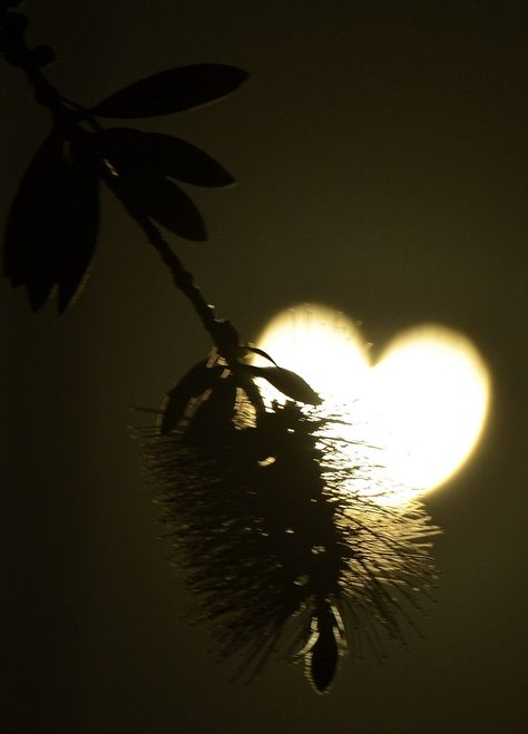 Glowing heart sky Heart In Nature, Burning Love, I Love Heart, Heart Images, Airbrush Art, Beating Heart, With All My Heart, Jolie Photo, Heart Soul