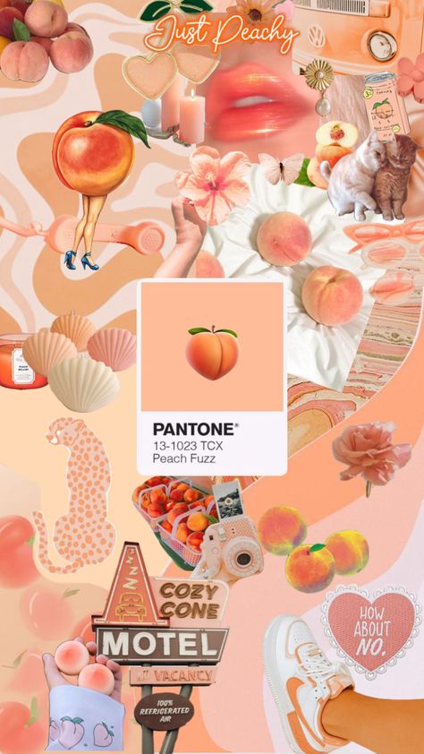 #pantone #pantonecolorcollage #pantonecolor2024 #coloroftheyear #pantone2024 #pantoneshuffle #pantonepeachfuzz #peach #peachfuzz #peachaesthetic #peachy #peaches #peachcolor Peaches Aesthetic, Peach Collage, Peach Vibes, Peach Aesthetic, Color Collage, Peach Blush, Orange Aesthetic, Peach Fuzz, Peach Orange