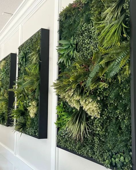 Client diaries ❤️ Living Wall Wedding Backdrop, Plant Wall Interior, Faux Greenery Wall Indoor, Live Plant Wall Art, Office Greenery Wall, Moss Interior Design, Faux Living Wall Indoor, Greenery On Wall, Moss Wall Office