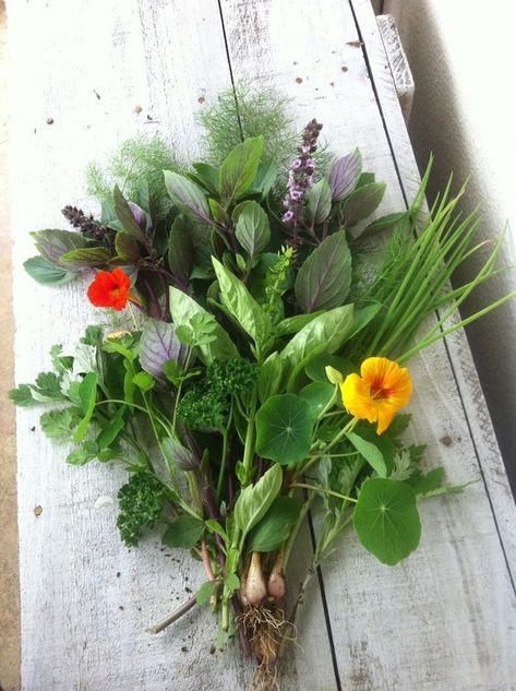 Veggie Bouquet, Farmstand Ideas, Thrifted Wedding, Creek Garden, Herb Bouquet, Herb Wedding, Farmers Market Stand, Cut Flower Farm, Herb Gardens