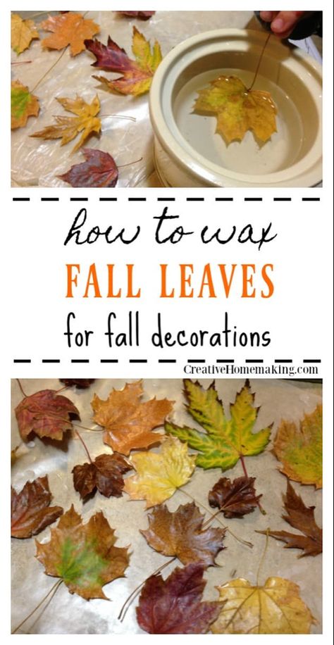 Natural Fall Decor, Autumn Leaves Craft, Thanksgiving Decorations Diy, Deco Nature, Thanksgiving Diy, Autumn Decorating, Leaf Crafts, Fall Craft, Fall Art