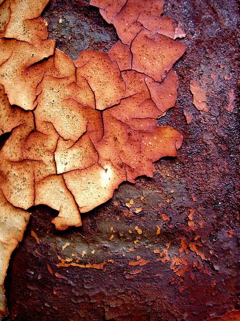 Rust | さび | Rouille | ржавчина | Ruggine | Herrumbre | Chip | Decay | Metal | Corrosion | Tarnish | Texture | Colors | Contrast | Patina | Decay | Interesting Textures, Growth And Decay, Texture Inspiration, Peeling Paint, Painting Subjects, Rusted Metal, Texture Color, Abstract Photography, Surface Textures