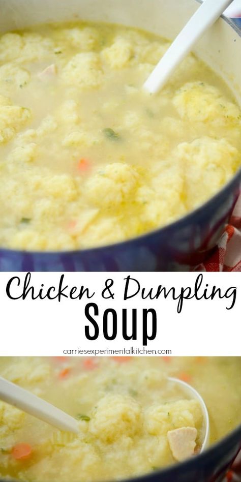 Chicken And Dumpling Soup, Chicken Dumpling, Chicken Gnocchi Soup Olive Garden, Chicken Dumpling Soup, Homemade Chicken And Dumplings, Homemade Chicken Soup, Dumpling Soup, Dumpling Dough, Homemade Dumplings