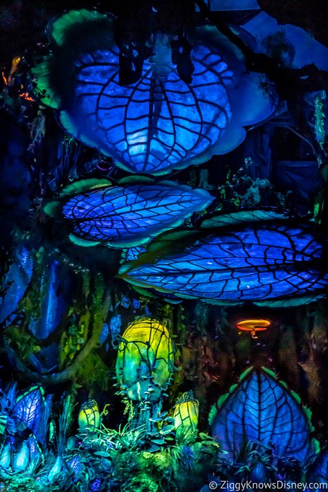 Na'vi River Journey Disney's Animal Kingdom Attractions Navi River Journey, Avatar Land, Animal Kingdom Rides, Cyberpunk Room, Underwater Room, Meow Wolf, Desain Pantry, Festival Outfits Rave, Avatar World