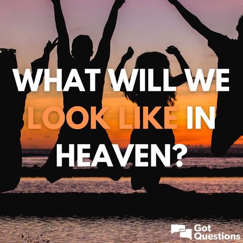 What will we look like in heaven? What Is Heaven, Randy Alcorn, Path To Heaven, Verses About Strength, Romans 5, Bible Versions, John 3, New Earth, To Heaven