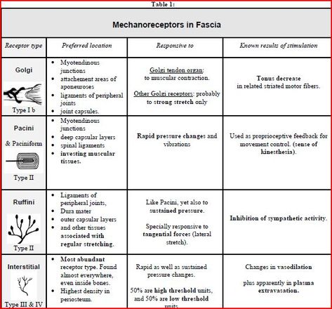 Simply Put- How does the "Bowen Technique" work? - Hands On Clinic Braunton Bowen Technique, Bowen Therapy, Massage Images, Manual Therapy, Neck Problems, Endocrine System, Deep Tissue Massage, Active Life, Chronic Fatigue